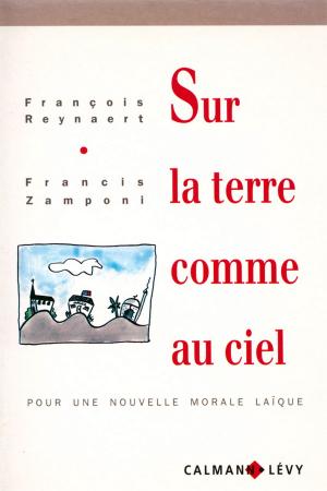 Cover of the book Sur la terre comme au ciel by Sylvie Lauduique-Hamez