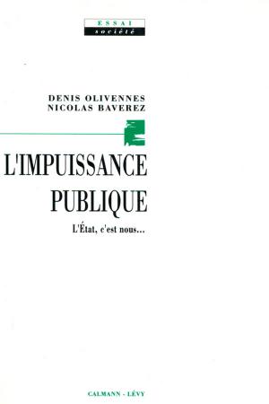 Cover of the book L'Impuissance publique by Marie-Bernadette Dupuy