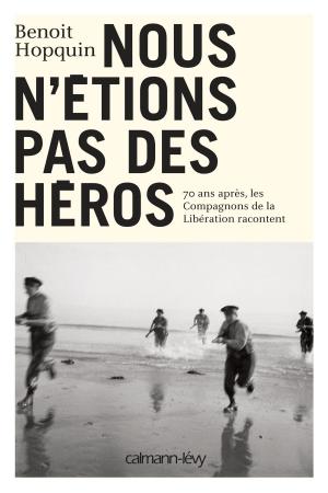Cover of the book Nous n'étions pas des héros by Michel Peyramaure