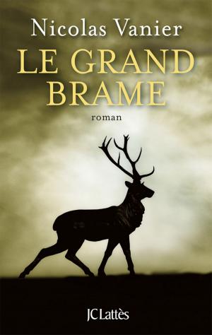 bigCover of the book Le Grand Brame by 