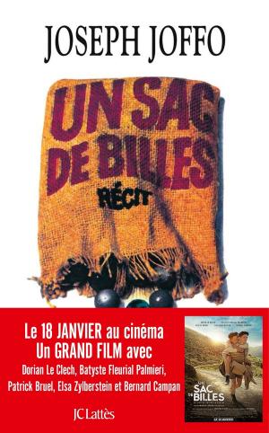 Book cover of Un sac de billes