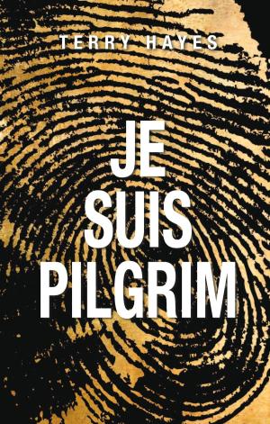 Book cover of Je suis Pilgrim
