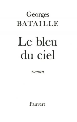 Cover of the book Le Bleu du ciel by Janine Boissard