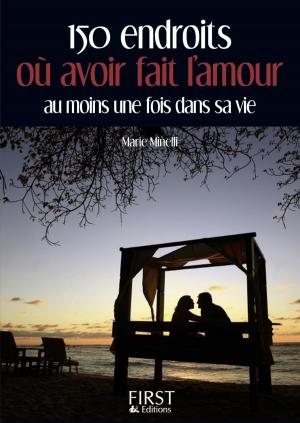 Cover of the book Petit Livre de - 150 endroits où avoir fait l'amour au moins une fois dans sa vie by Jean-Joseph JULAUD