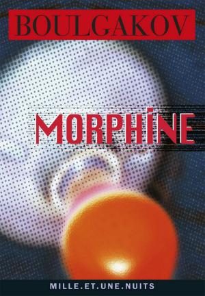 Cover of the book Morphine by Olivier Poivre d'Arvor