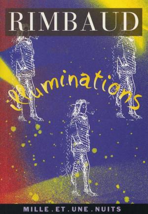 Cover of the book Illuminations by Alain Gerber