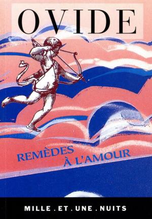 Cover of the book Remèdes à l'amour by Jean-Louis Debré