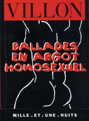 Cover of the book Ballades en argot homosexuel by Jean-Robert Pitte