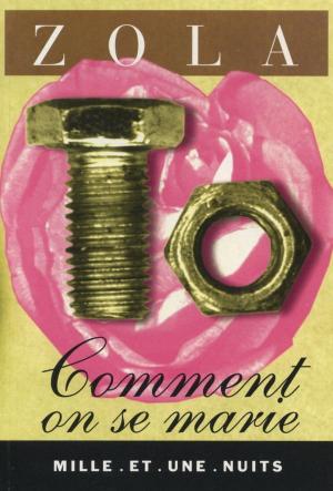 Cover of the book Comment on se marie by Raphaël Enthoven