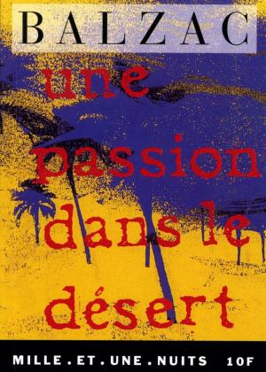 Cover of the book Une passion dans le désert by Thierry Crouzet