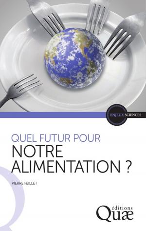 Cover of the book Quel futur pour notre alimentation ? by Daniel Terrasson, Martine Berlan-Darqué