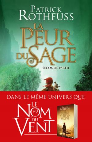 Cover of the book La Peur du sage - Seconde partie by Rj Barker