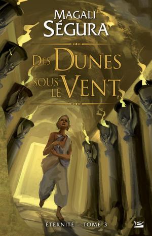 Cover of the book Des dunes sous le vent by Éric Nieudan