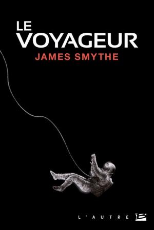 Cover of the book Le Voyageur by E.J. Lavoie