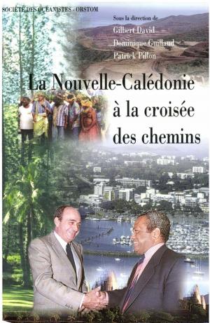 Cover of the book La Nouvelle-Calédonie à la croisée des chemins : 1989-1997 by José Garanger