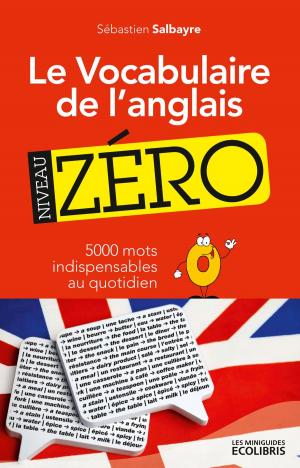 bigCover of the book Le vocabulaire de l'anglais, niveau zéro by 