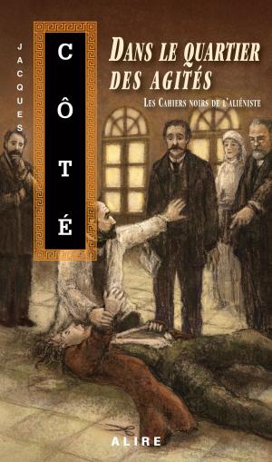 Cover of the book Dans le quartier des agités by Joël Champetier