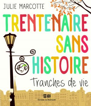 Cover of the book Trentenaire sans histoire by Stéphane Monette