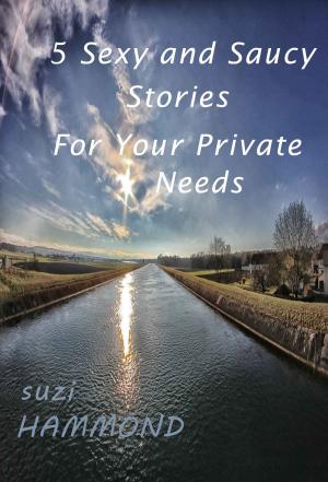 Cover of the book 5 Sexy and Saucy Stories For Your Private Needs by Hannah  Zachary