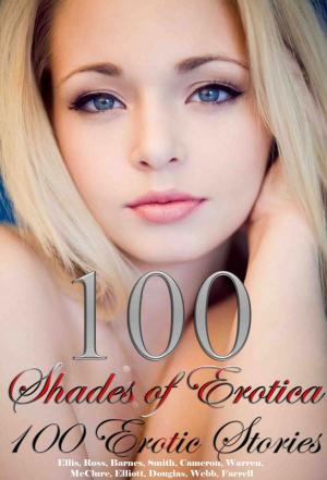 Cover of the book 100 Shades of Erotica 100 Erotic Stories by Hailey Clark