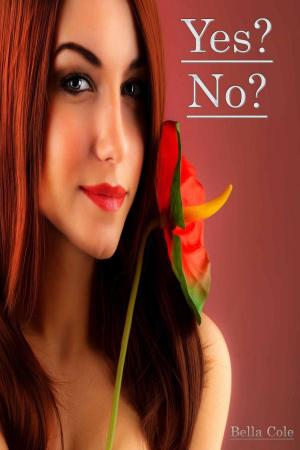 Cover of the book Yes? No? by Addison Wallace