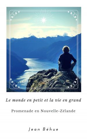 Cover of the book Le monde en petit et la vie en grand by Vincent Miskell