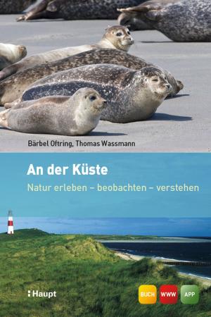 Cover of An der Küste