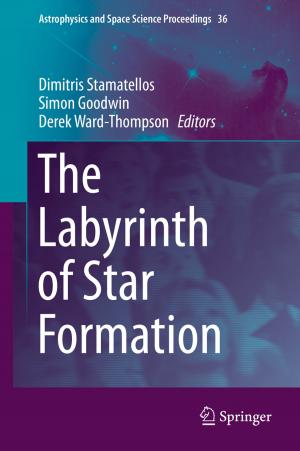 Cover of the book The Labyrinth of Star Formation by Franziska Dübgen, Stefan Skupien