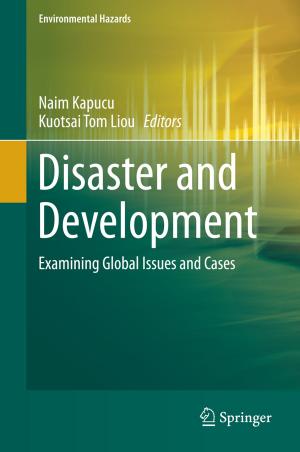 Cover of the book Disaster and Development by Gongpu Wang, Feifei Gao, Chengwen Xing