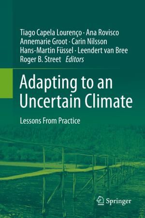 Cover of the book Adapting to an Uncertain Climate by Eugenio Brusa, Ambra Calà, Davide Ferretto