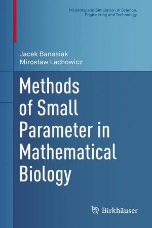 Cover of the book Methods of Small Parameter in Mathematical Biology by Paulo Roberto Feldmann