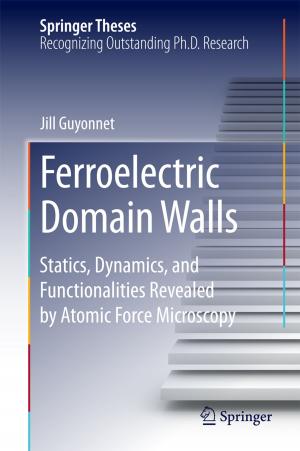 Cover of the book Ferroelectric Domain Walls by Carlos Lizama, Claudio Cuevas, Ravi P. Agarwal