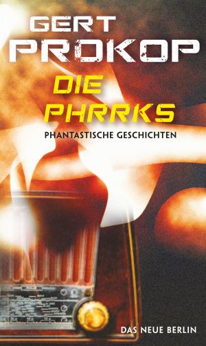 Cover of the book Die Phrrks by David Goeßmann