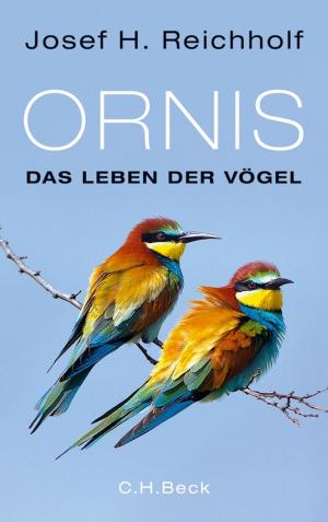 Cover of the book Ornis by Adolf Muschg