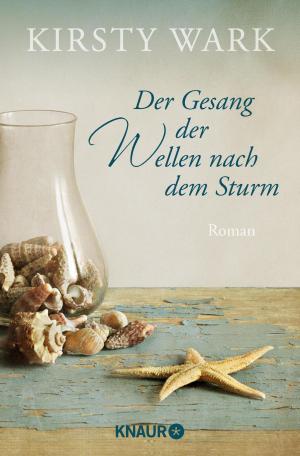 Cover of the book Der Gesang der Wellen nach dem Sturm by Frank Kodiak