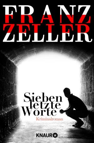 Cover of the book Sieben letzte Worte by Heidi Rehn