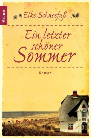 Cover of the book Ein letzter schöner Sommer by Friedrich Ani