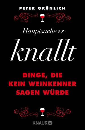 Cover of the book Hauptsache, es knallt by Birgit Schlieper