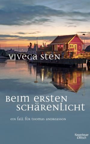 Book cover of Beim ersten Schärenlicht