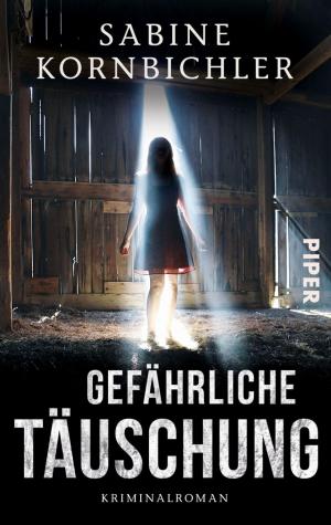 Book cover of Gefährliche Täuschung