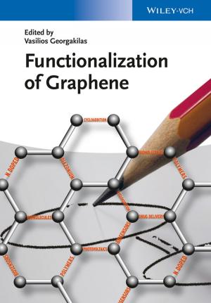 Cover of the book Functionalization of Graphene by Michael P. Johnson, Jeffrey M. Keisler, Senay Solak, David A. Turcotte, Armagan Bayram, Rachel Bogardus Drew