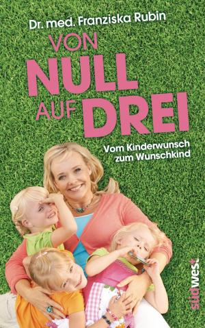 Cover of the book Von Null auf Drei by Evelyn Holst