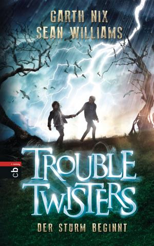 Book cover of Troubletwisters - Der Sturm beginnt