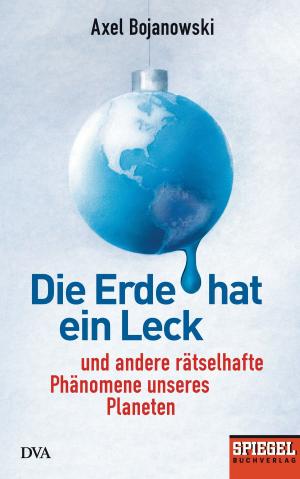 Cover of the book Die Erde hat ein Leck by Anne Enright