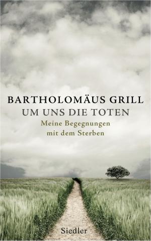 Cover of the book Um uns die Toten by Günter de Bruyn