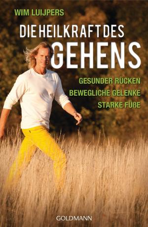 Cover of the book Die Heilkraft des Gehens by Stefanie Kasper