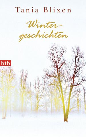 Cover of the book Wintergeschichten by Anne Enright