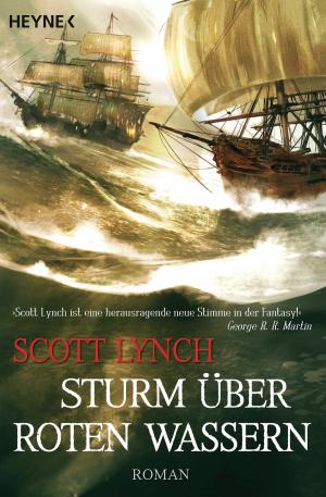 Cover of the book Sturm über roten Wassern by David Brin
