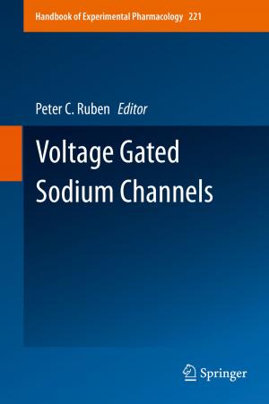 Cover of the book Voltage Gated Sodium Channels by Tomasz Komorowski, Claudio Landim, Stefano Olla