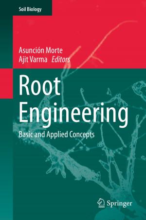 Cover of the book Root Engineering by 